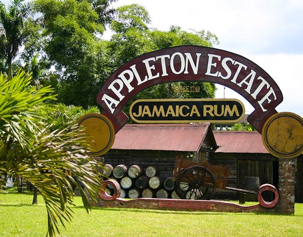 appleton-state-rum-jamaica