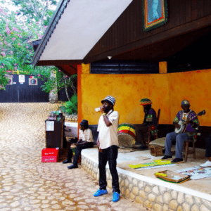 zipline canopy tour jamaica